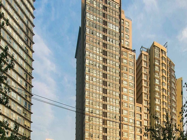 江宁宠物绝育医院